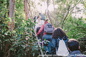 Il programma di Study Tour comprende molte escursioni e visite anche nella foresta pluviale 