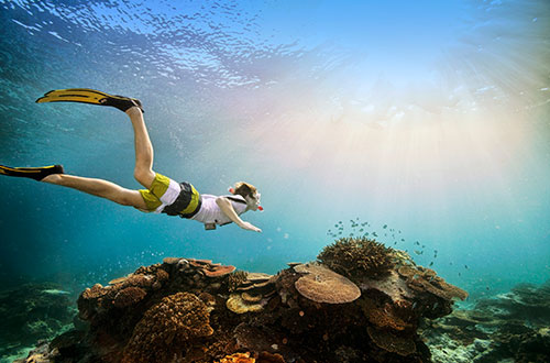 TecAustralia offre un'opportunità unica di viaggio studio sulla barriera corallina con anche attività di snorkling